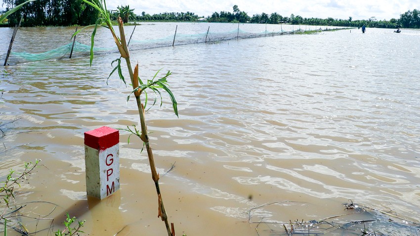 Công Tác Giải Phóng Mặt Bằng Cao Tốc Cà Mau Cần Thơ